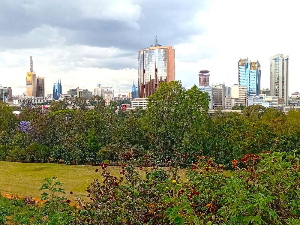 Nairobi office towers seen across trees from Upper Hill