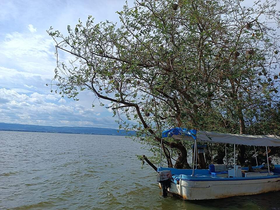 Lake Victoria, seen from Kisumu